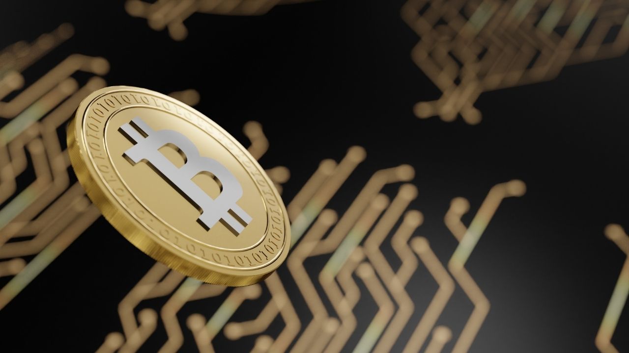 Why Traders Use Bitcoin Live Chart When Making Decisions